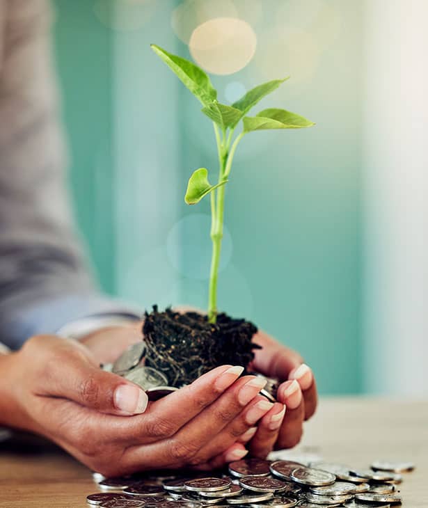 CHVB Conseils, une expertise complète à votre service